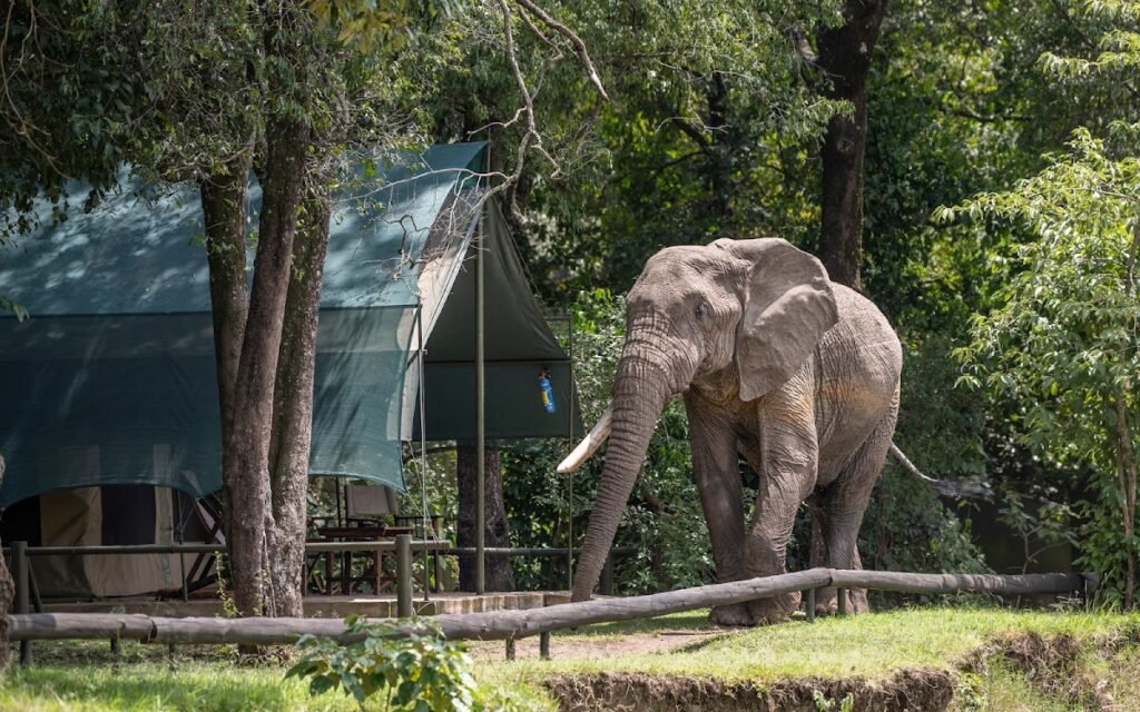 Lodge gallery image 1