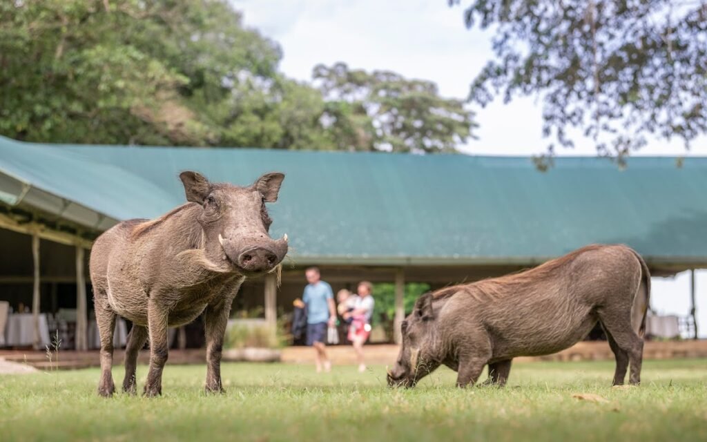 Lodge gallery image 5