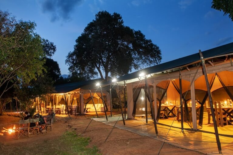 Hammerkop Migration Camp