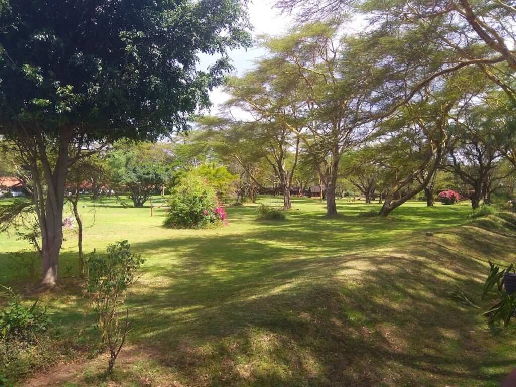 Lodge gallery image 4