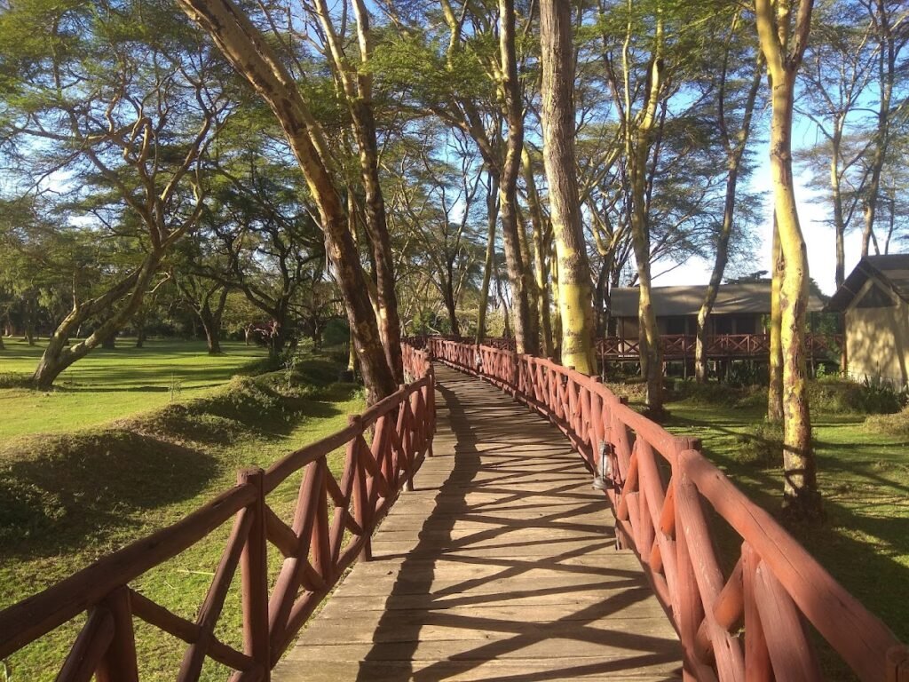 Lodge gallery image 5