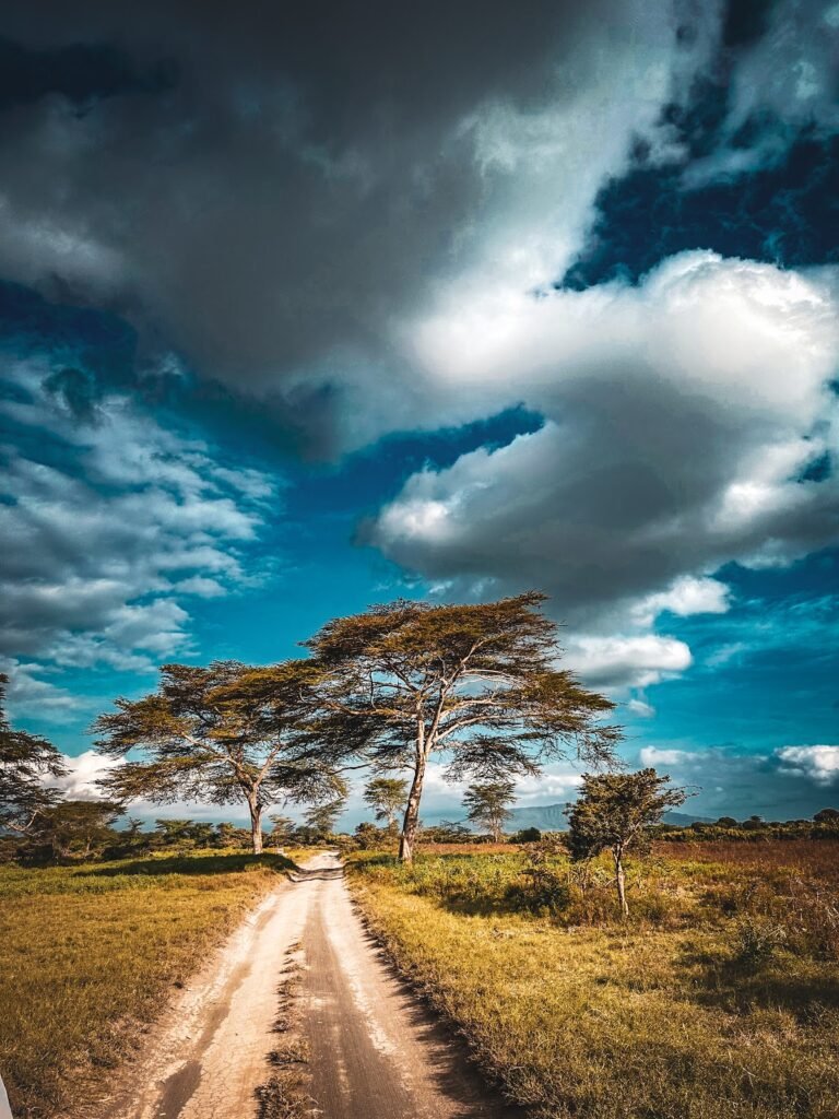 Lodge gallery image 6