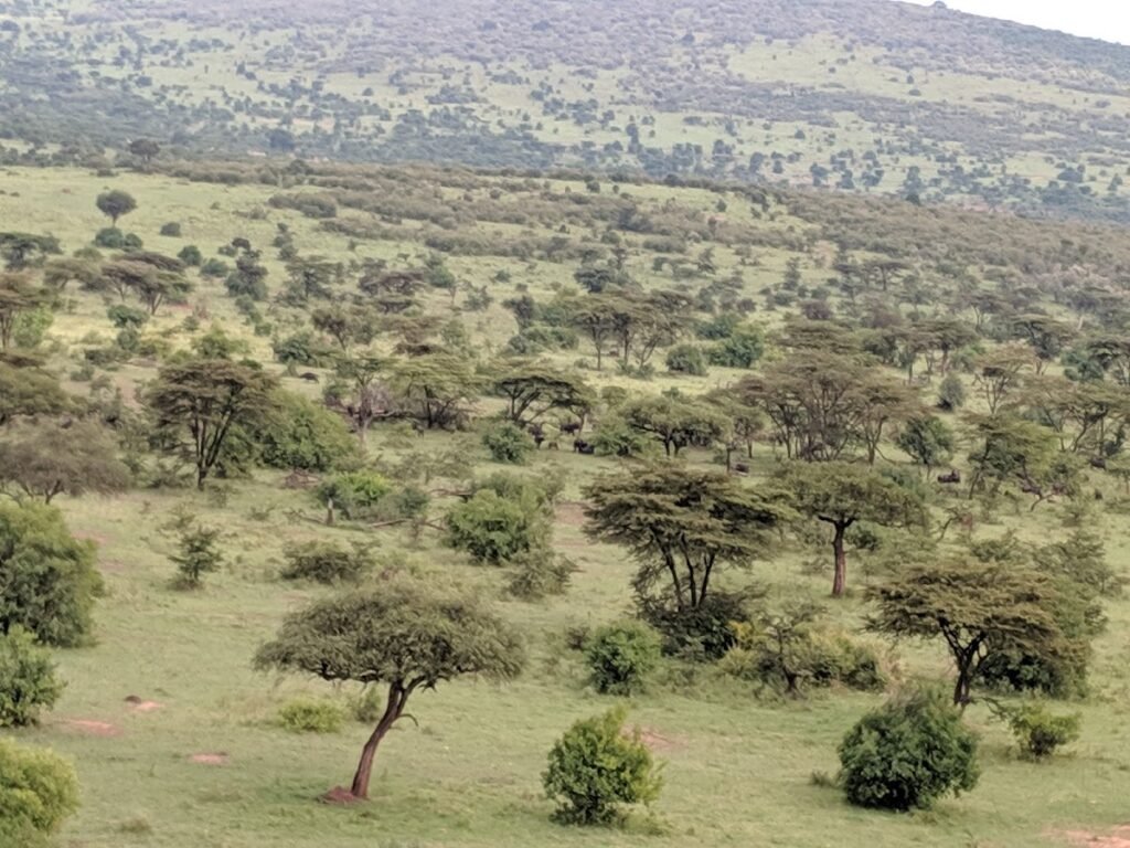 Lodge gallery image 5