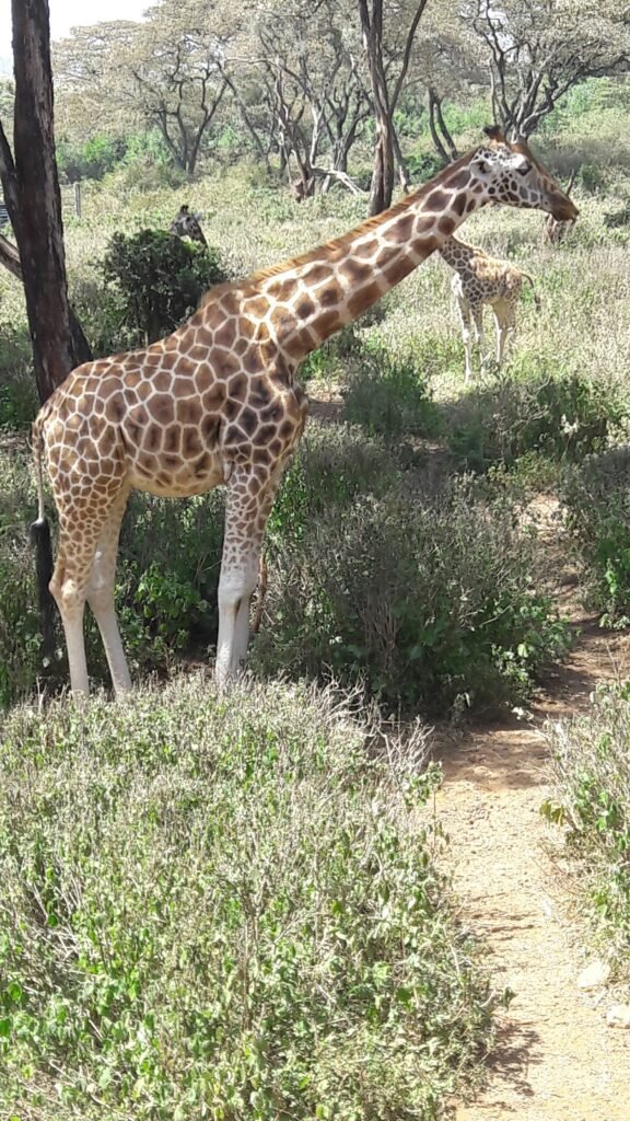 Lodge gallery image 6