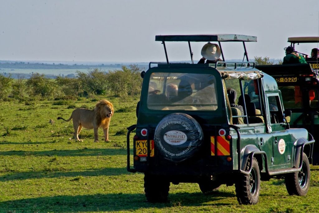 Lodge gallery image 5