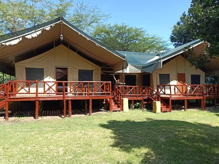 Mara Leisure Camp