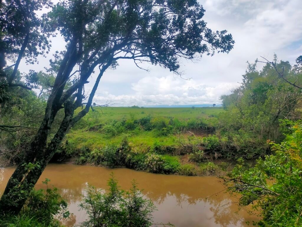 Lodge gallery image 5