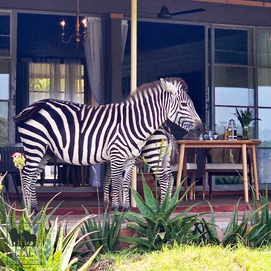 Lodge gallery image 1