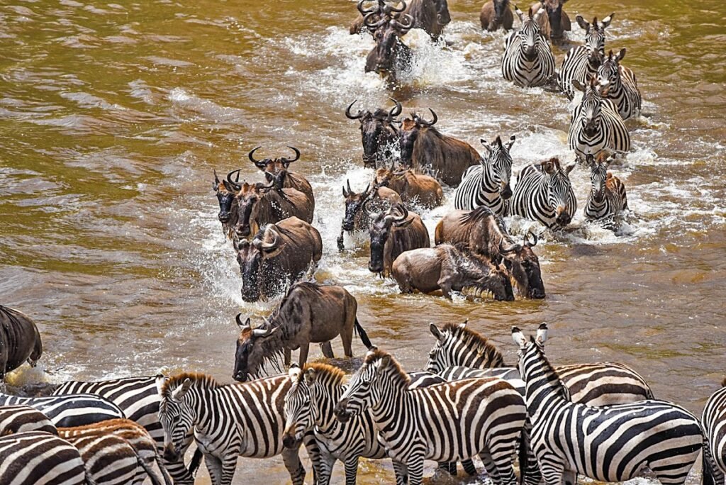 Lodge gallery image 5