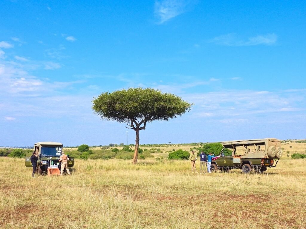 Lodge gallery image 6