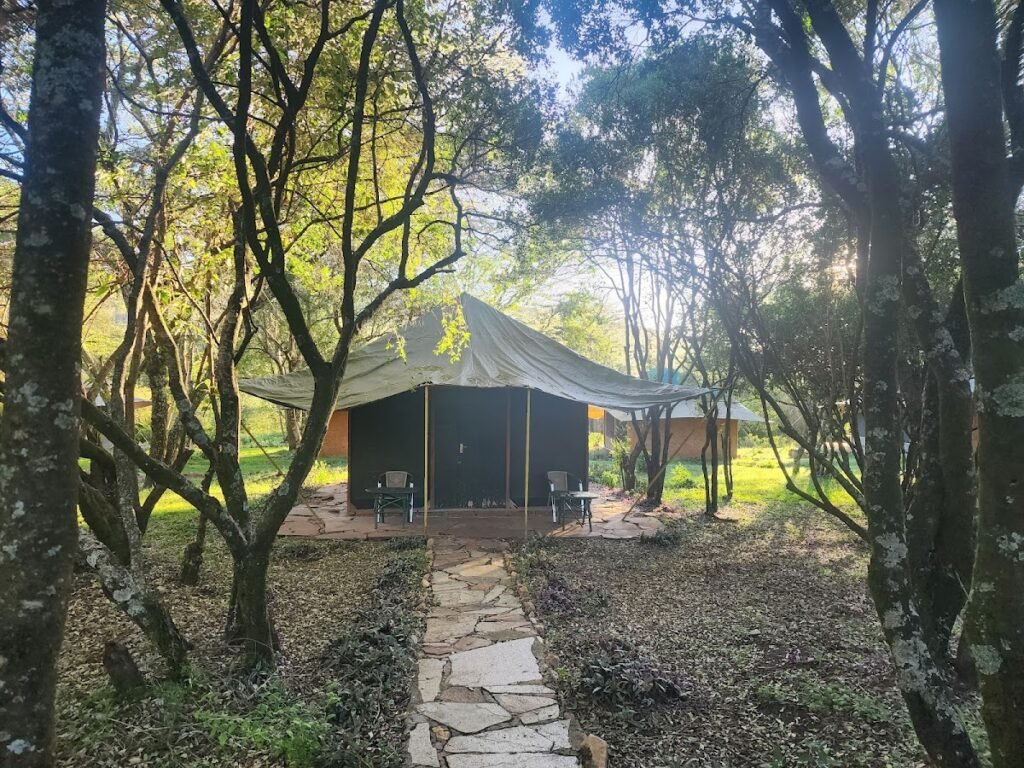 Lodge gallery image 4