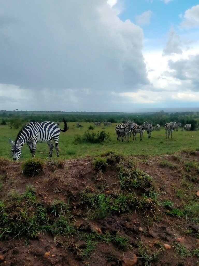 Lodge gallery image 5