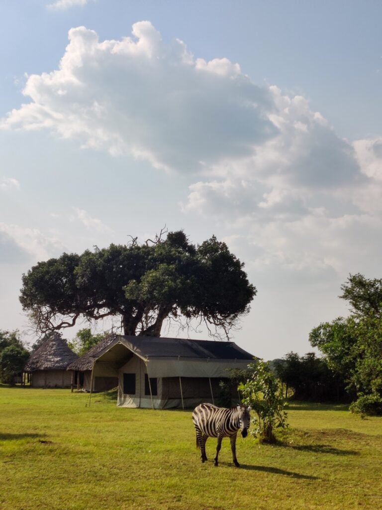 Lodge gallery image 5