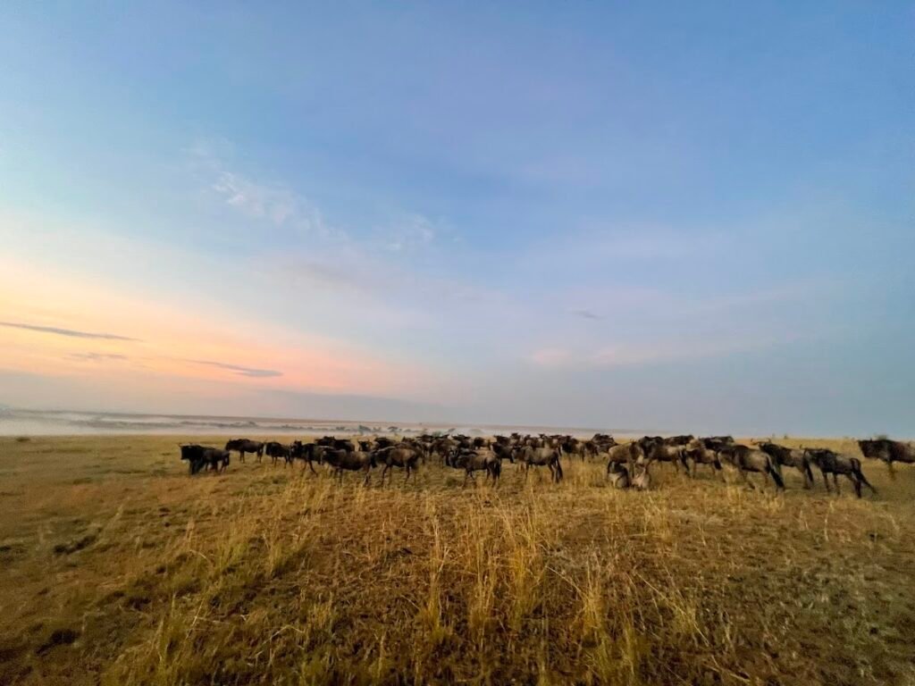 Lodge gallery image 4