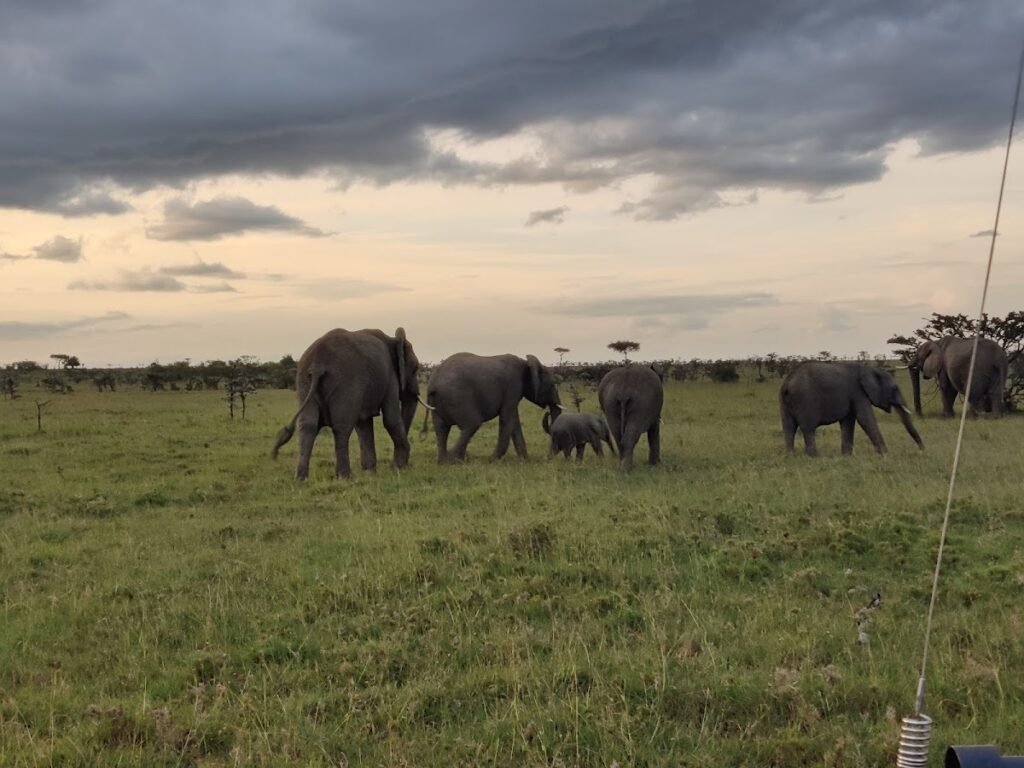 Lodge gallery image 6