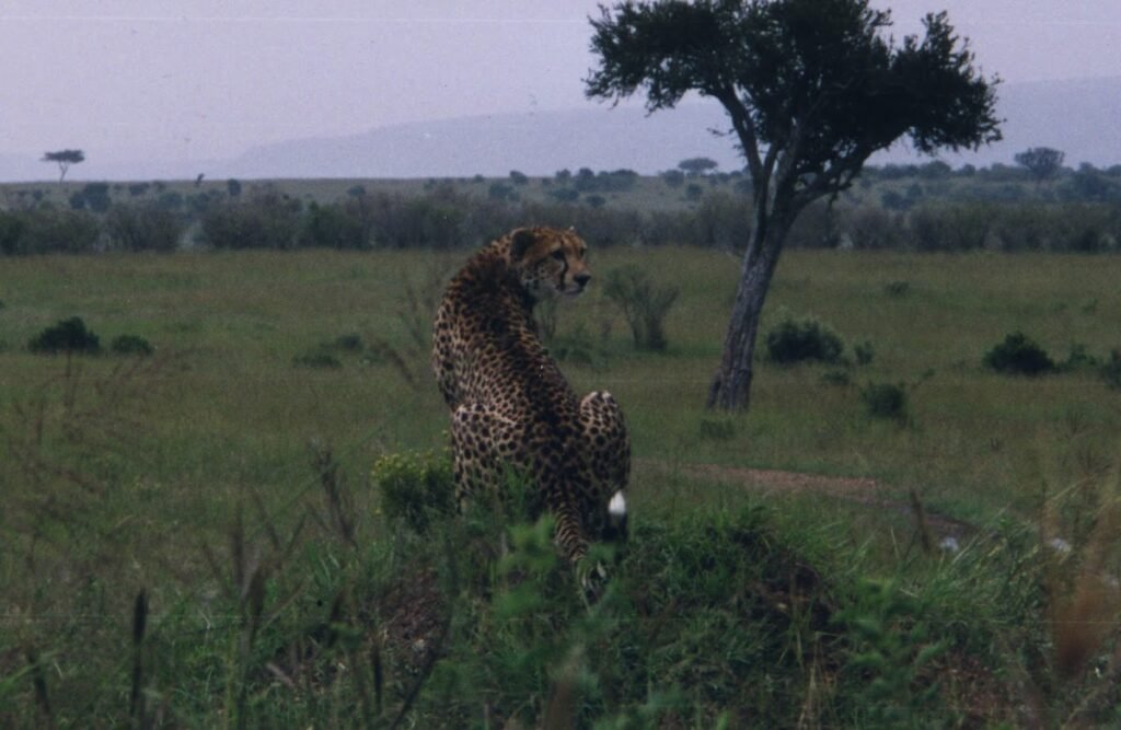 Lodge gallery image 2