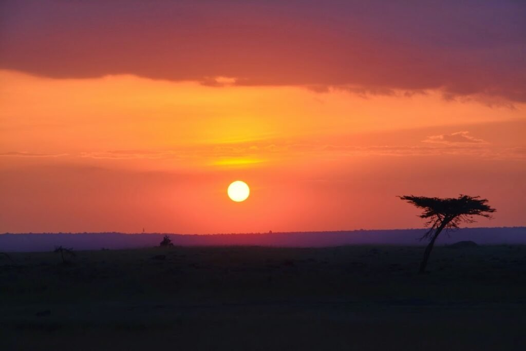 Lodge gallery image 4