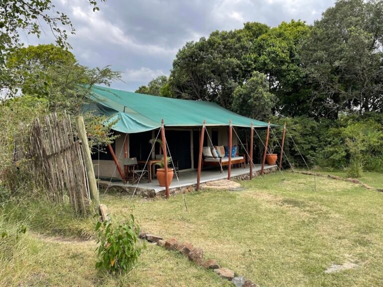 Offbeat Mara Camp