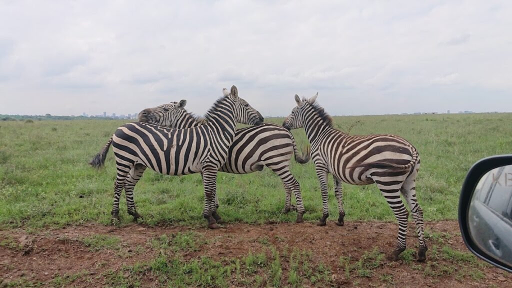 Lodge gallery image 5