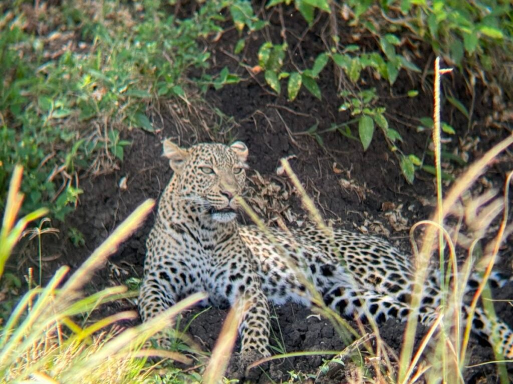 Lodge gallery image 6