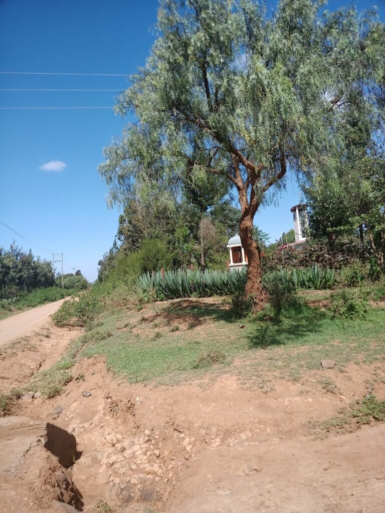 Lodge gallery image 4