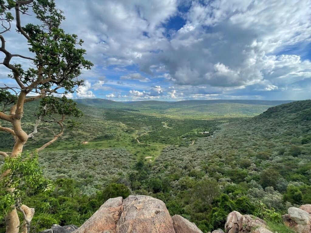 Lodge gallery image 4