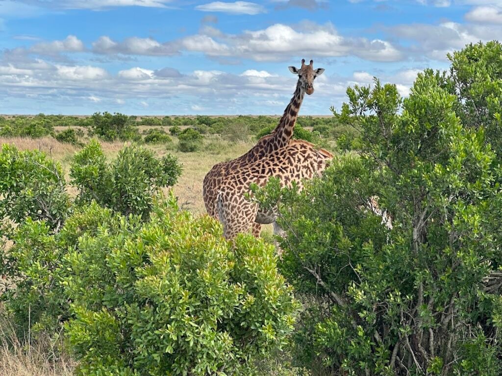 Lodge gallery image 5