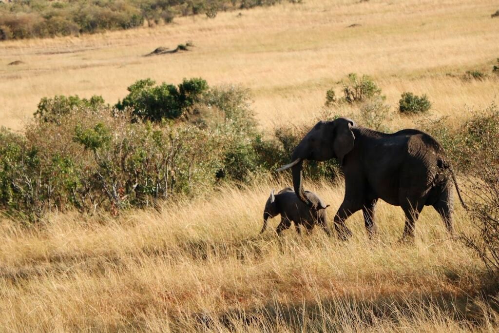 Lodge gallery image 6