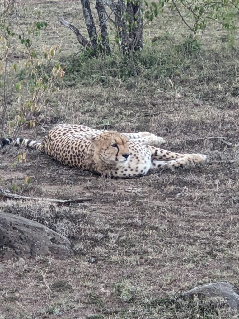 Lodge gallery image 6