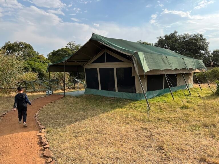 Porini Lion Camp