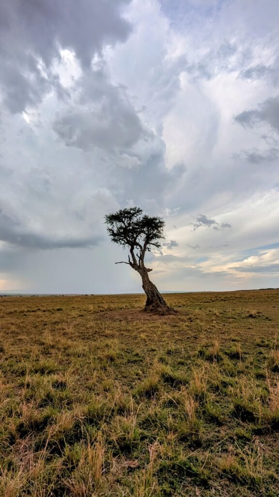 Lodge gallery image 5