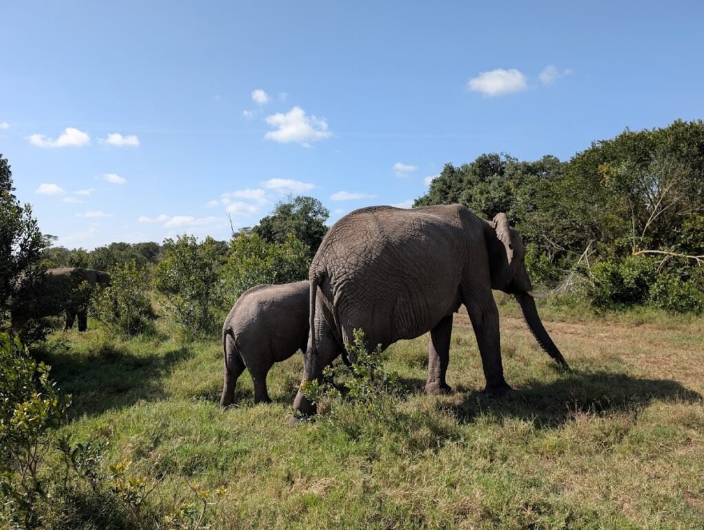 Lodge gallery image 6