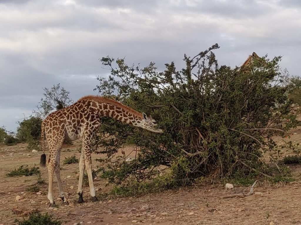 Lodge gallery image 4