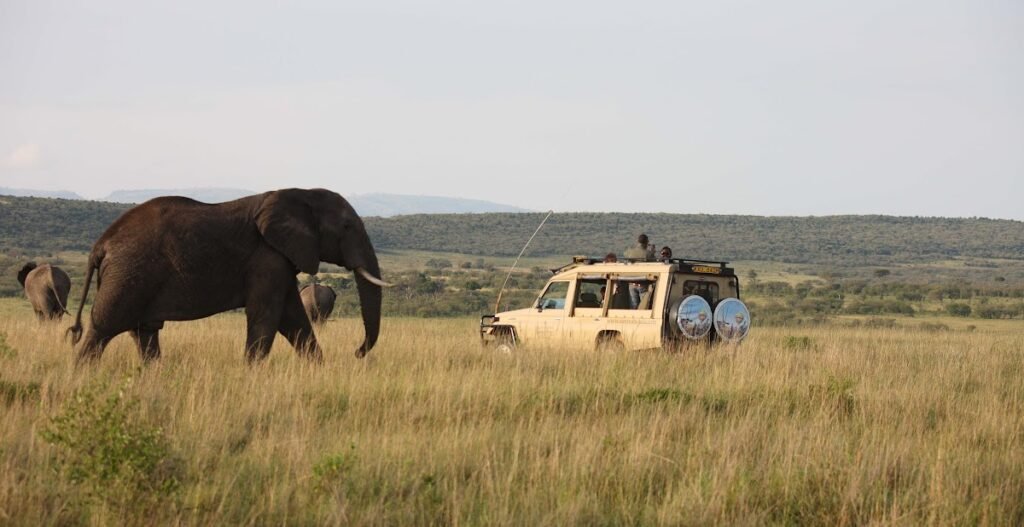 Lodge gallery image 5