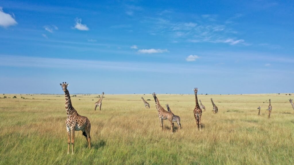 Lodge gallery image 5