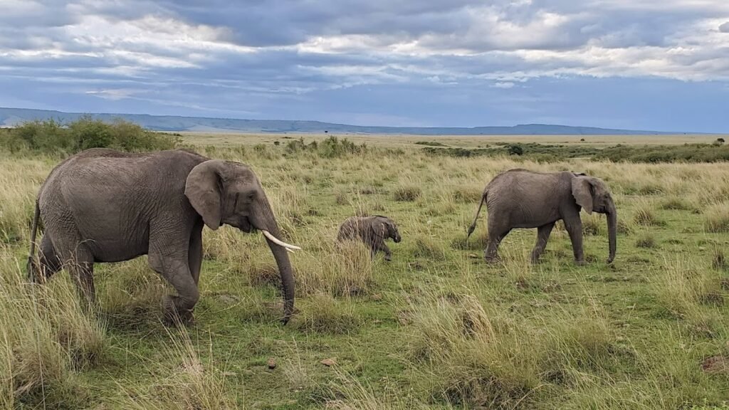 Lodge gallery image 4