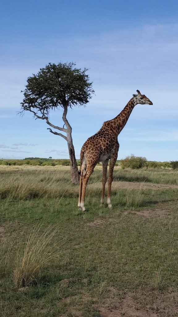 Lodge gallery image 5