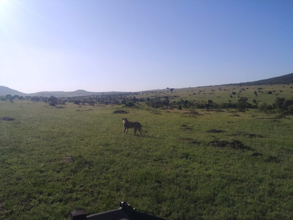 Lodge gallery image 4