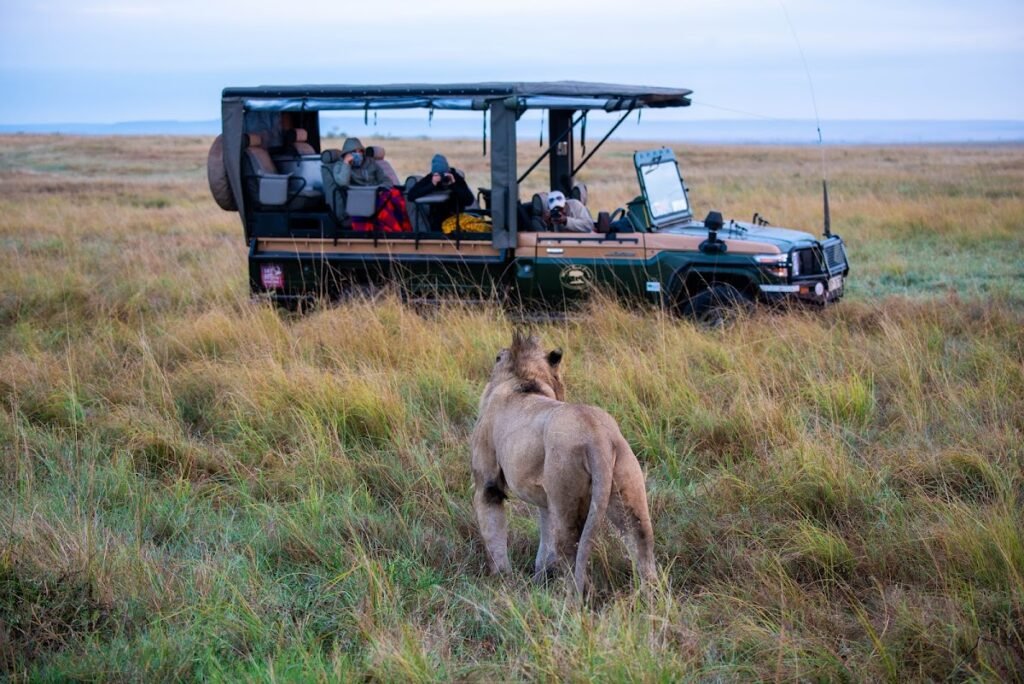 Lodge gallery image 6