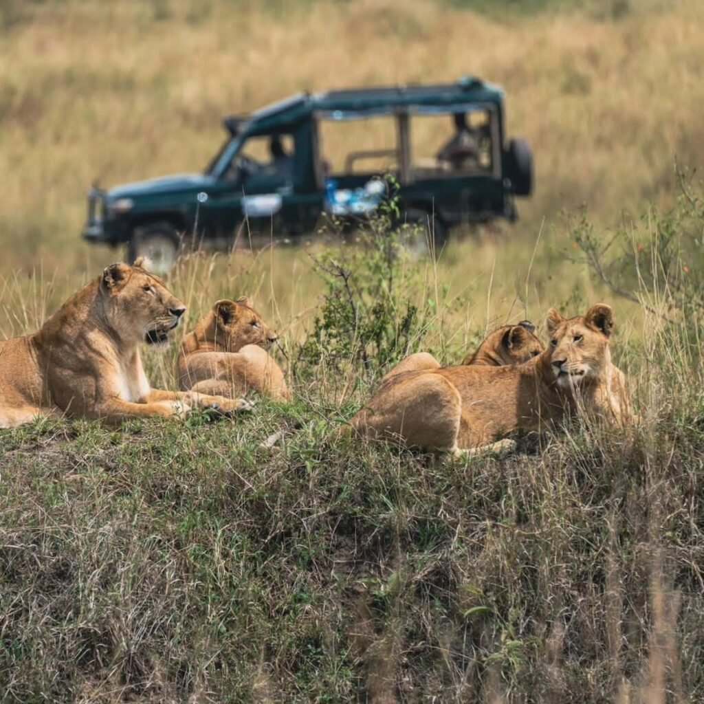 Lodge gallery image 5