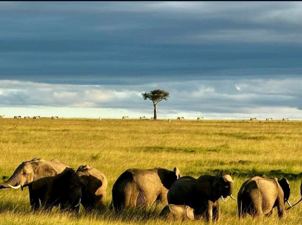 Lodge gallery image 3