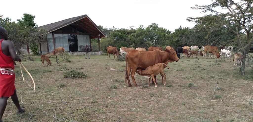 Lodge gallery image 6