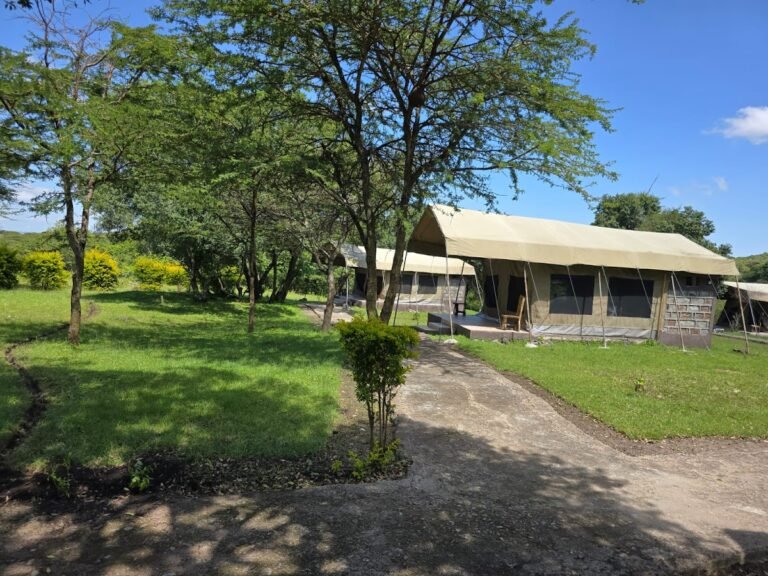 Wild Mara Tented Suite