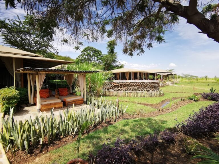 Zebra Plains Mara Camp