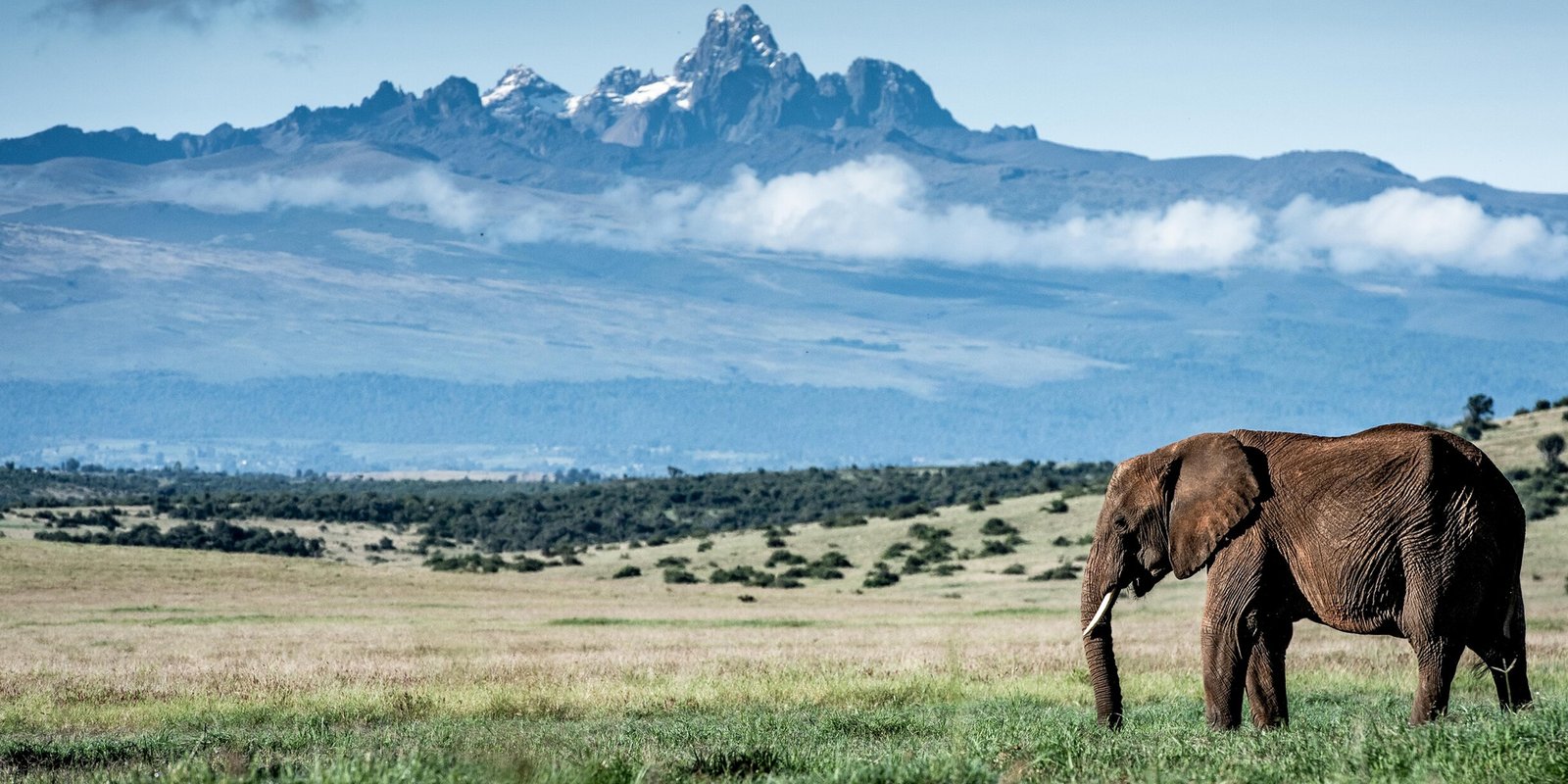 Kenya Safari Destinations 12 mount kenya park