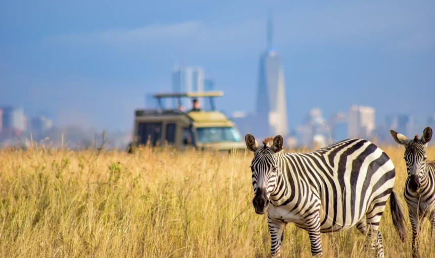 Wild at Heart: Everything You Need to Know About Nairobi National Park