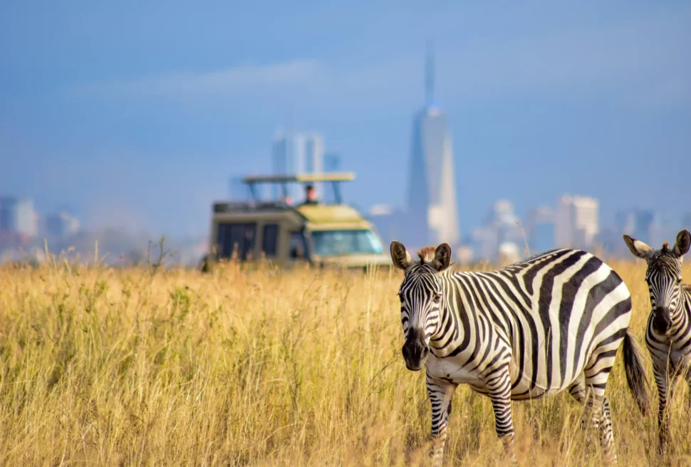 about nairobi national park