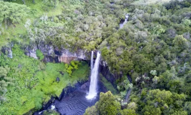 Aberdare National Park 05 Kenya