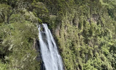 Aberdare National Park 06 Kenya