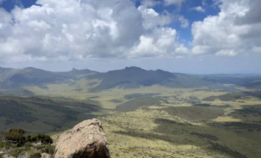 Aberdare National Park 08 Kenya